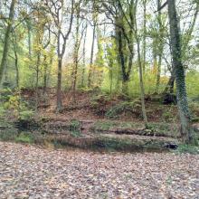 Profile picture for user JFJorssen