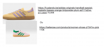 Capture d’écran 2025-12-10 201430.png